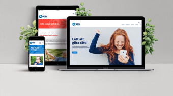 nittonarton Alfa eCare web screens