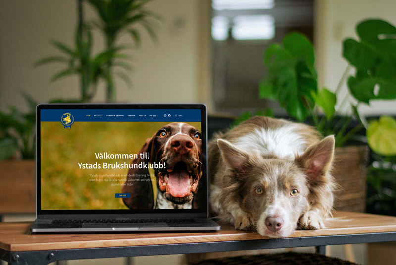 Ystads Brukshundsklubb