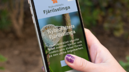Nybrofältets fjärilsslinga