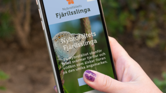 Nybrofältets fjärilsslinga
